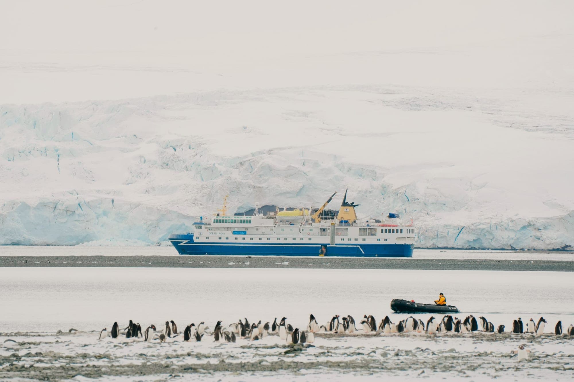 A colony of penguins gathered near an expedition ship on icy shores