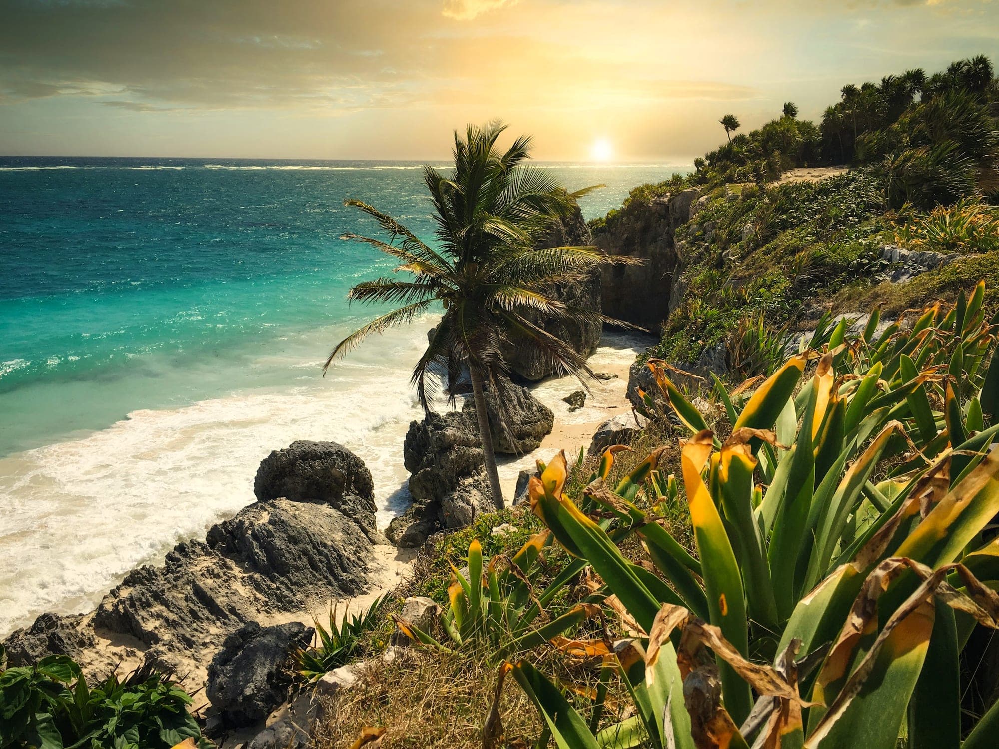 Palm-lined turquoise shoreline on Mexico's Riviera Maya